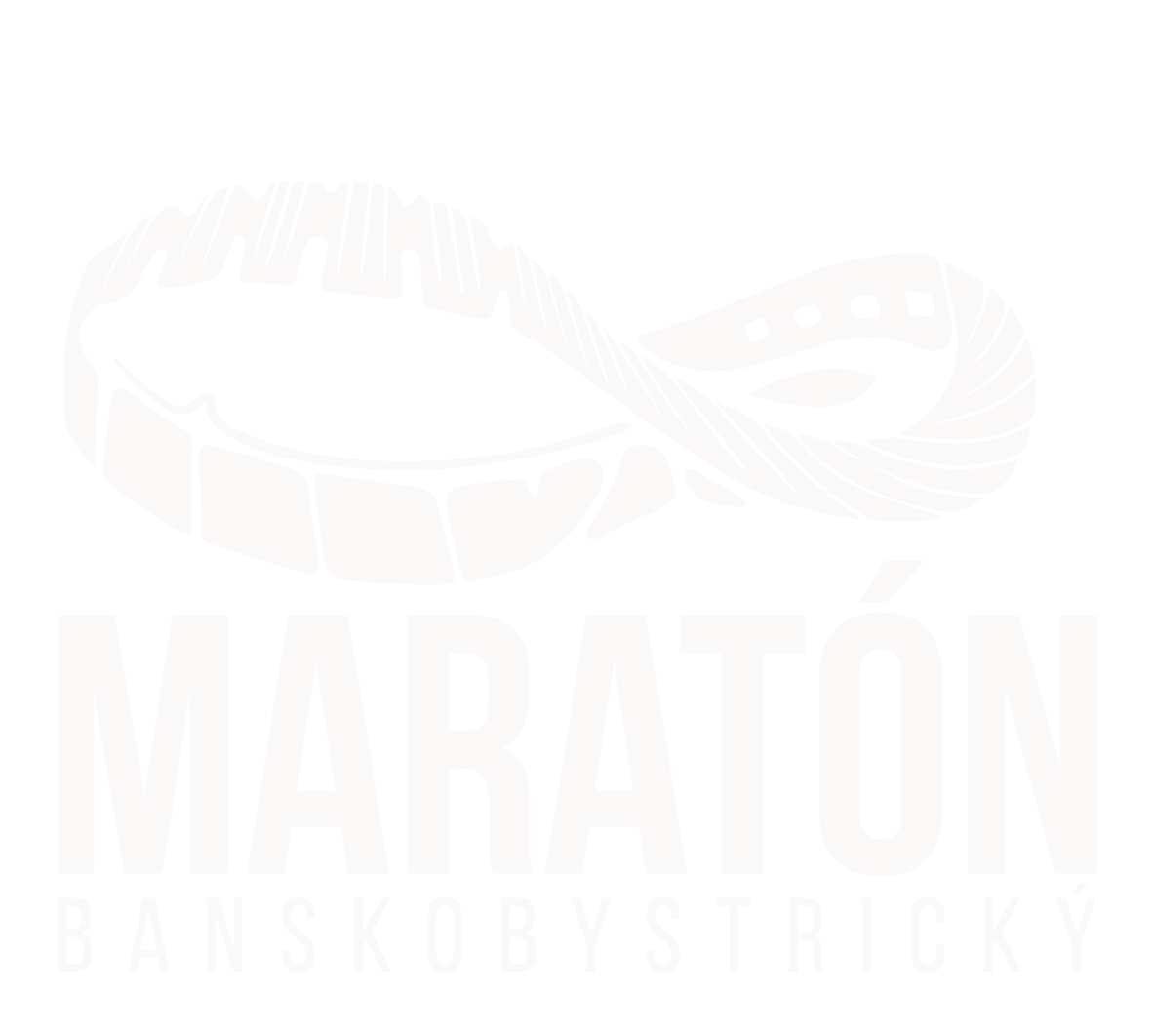 Banskobystrický maratón